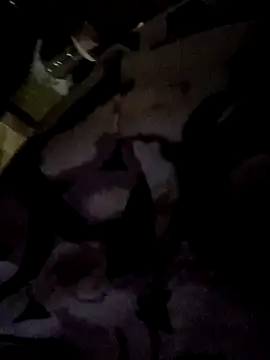 Snapshot of Babydoll_18 chatting on March 20, 2025, 6:09 pm Babydoll 18 online show from March 20, 2025, 6:09 pm