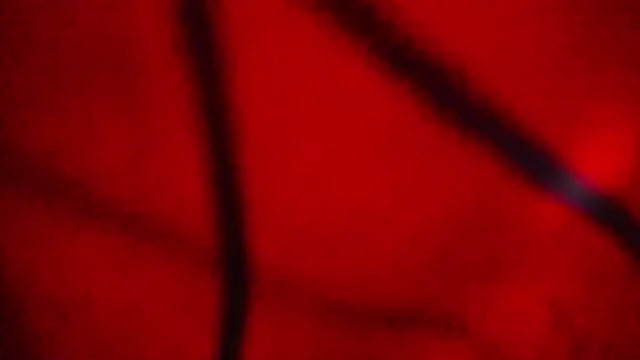 Snapshot of Nathaly_love96 chatting on February 20, 2026, 7:38 pm Nathaly love96 online show from February 20, 2026, 7:38 pm