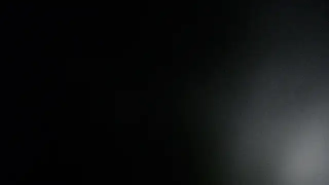 ViolethRammtein online show from January 27, 2025, 12:01 am