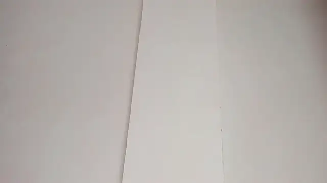 Snapshot of LiaFlowers chatting on February 23, 2025, 7:22 am LiaFlowers online show from February 23, 2025, 7:22 am