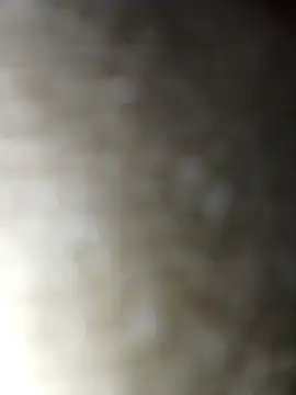 Sexybeer2005 online show from December 1, 2025, 7:20 am