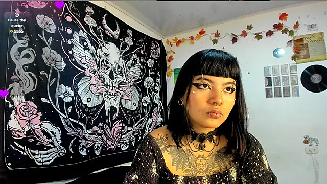 sheccid  online show from January 29, 2025, 11:41 am