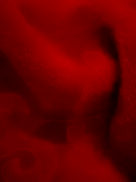 Mr pleasure1 online show from December 4, 2024, 8:56 pm