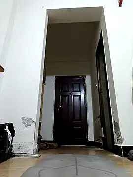 DDYY12341 online show from December 20, 2025, 12:41 pm