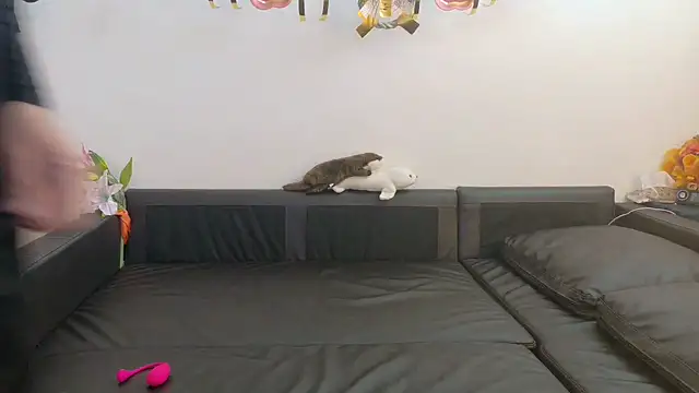 Snapshot of Angels1-2-3-4-5 chatting on January 8, 2026, 5:13 am Angels1-2-3-4-5 online show from January 8, 2026, 5:13 am