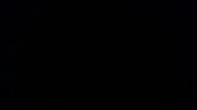 Kashtanka  online show from November 22, 2025, 12:59 pm