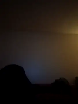 Snapshot of armdy371 chatting on March 21, 2026, 12:42 pm armdy371 online show from March 21, 2026, 12:42 pm