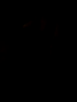 LAN69XXXX online show from March 25, 2026, 7:35 pm