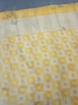 sexy kaira online show from January 30, 2025, 3:08 pm