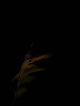 Feelixbi99 online show from March 9, 2026, 8:12 pm