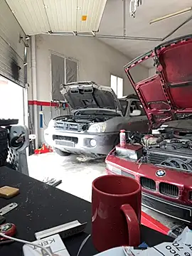 Snapshot of donnuozfutura chatting on February 12, 2025, 12:44 pm donnuozfutura online show from February 12, 2025, 12:44 pm