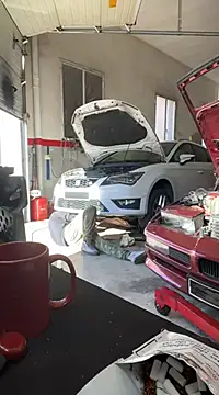 Snapshot of donnuozfutura chatting on February 13, 2025, 2:20 pm donnuozfutura online show from February 13, 2025, 2:20 pm