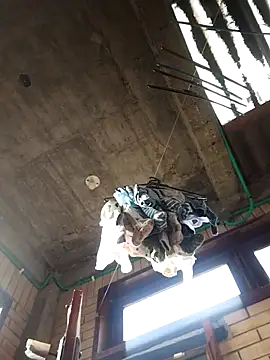 gigolopez1 online show from February 15, 2026, 12:15 pm