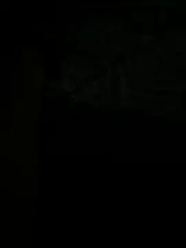 Snapshot of tran3 chatting on September 12, 2025, 10:31 pm tran3 online show from September 12, 2025, 10:31 pm