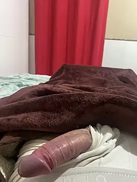 novinhoroludo8 online show from April 28, 2026, 12:09 am