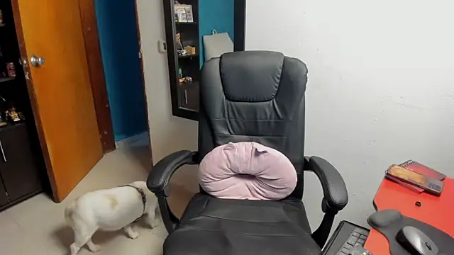 peanut tangerine online show from January 9, 2026, 11:55 pm