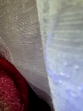 Tomato boy online show from November 16, 2025, 7:02 am