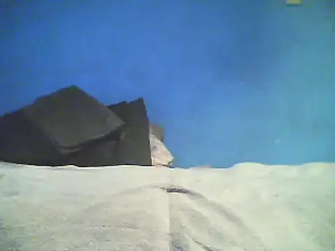 Snapshot of Vago745 chatting on December 2, 2024, 10:46 am Vago745 online show from December 2, 2024, 10:46 am