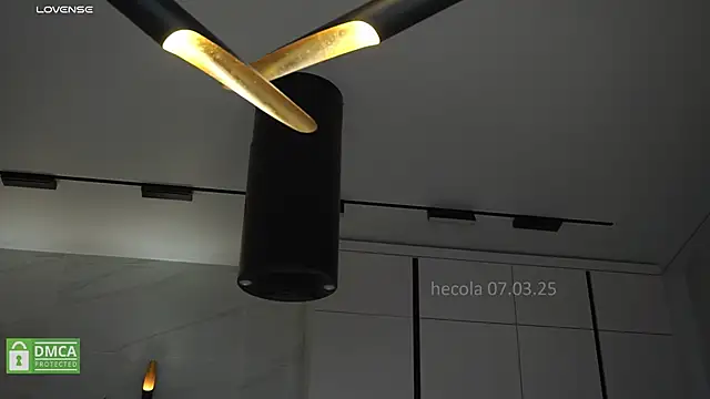 Snapshot of hecola chatting on March 7, 2025, 2:34 pm hecola online show from March 7, 2025, 2:34 pm