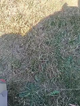 Gururonny07 online show from February 12, 2025, 7:44 am