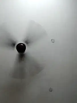 Snapshot of cutiecatty21 chatting on October 23, 2025, 10:36 am cutiecatty21 online show from October 23, 2025, 10:36 am