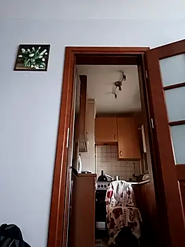 Snapshot of Misiopasyw1 chatting on October 1, 2025, 1:48 pm Misiopasyw1 online show from October 1, 2025, 1:48 pm