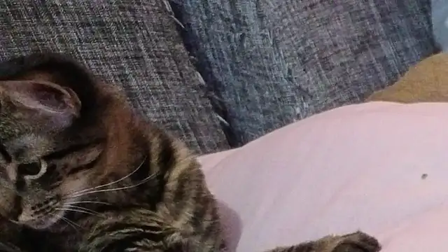 Kimandyuk online show from April 24, 2026, 6:48 am