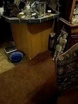 wilsons12 online show from October 26, 2025, 3:07 am