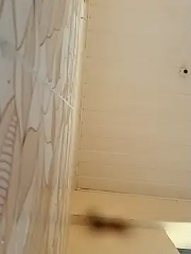 BriannaVincent online show from November 20, 2025, 3:40 am