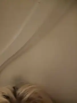 SirenitySirenxx online show from September 23, 2025, 8:54 am