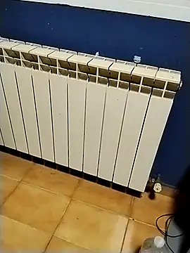 Snapshot of minitranca chatting on January 9, 2026, 7:32 pm minitranca online show from January 9, 2026, 7:32 pm