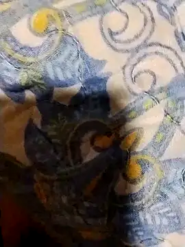 Snapshot of minitranca chatting on February 7, 2026, 8:17 pm minitranca online show from February 7, 2026, 8:17 pm