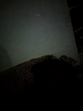 Karthik924 online show from February 21, 2025, 5:09 pm