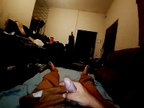 lavancaafiada online show from April 5, 2026, 6:42 am