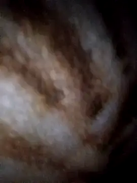 YuliannaFox online show from February 4, 2025, 9:52 pm