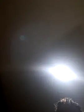 Snapshot of Colorao4 chatting on November 19, 2025, 4:23 am Colorao4 online show from November 19, 2025, 4:23 am