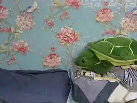 Snapshot of Tiny_lusty chatting on March 16, 2025, 8:21 pm Tiny lusty online show from March 16, 2025, 8:21 pm