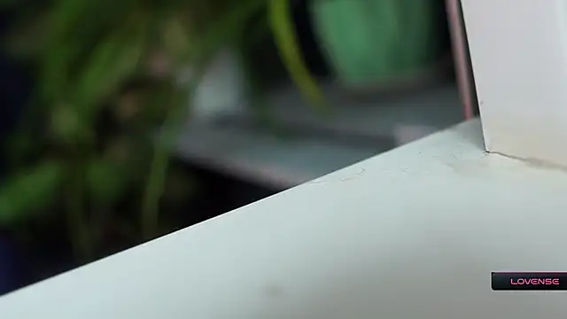  Phantom thread  online show from March 12, 2026, 8:18 am