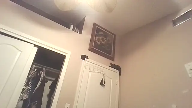 PompasPurpleriver online show from April 22, 2026, 2:40 am