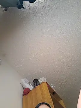 Sweel Leyva18 online show from November 14, 2025, 1:48 pm