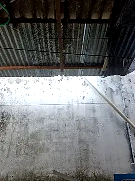      sams online show from March 11, 2026, 8:47 pm