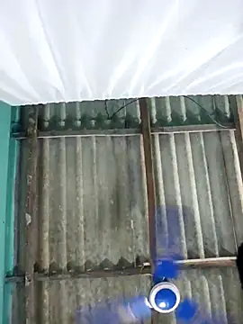 hotbaby 5 online show from November 1, 2025, 12:39 am