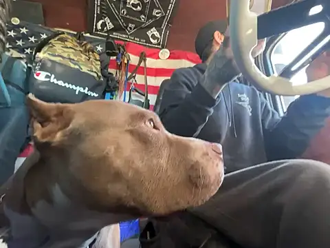 XMeF10 online show from November 23, 2025, 3:22 pm