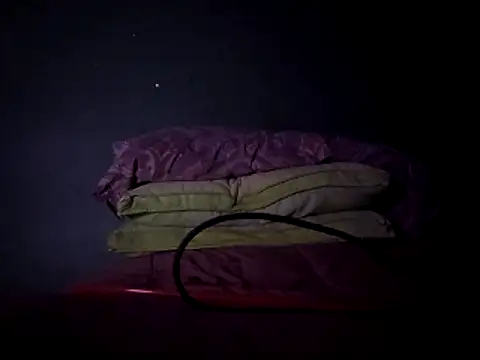 Snapshot of Samporterbridges chatting on April 16, 2026, 7:20 am Samporterbridges online show from April 16, 2026, 7:20 am