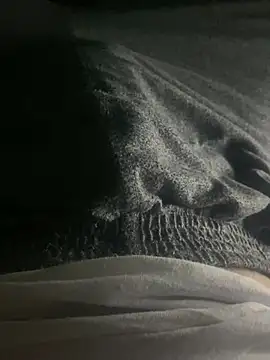 Snapshot of 20cmBasar chatting on April 14, 2026, 1:10 am 20cmBasar online show from April 14, 2026, 1:10 am