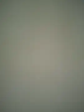 ScarletVelvetX online show from February 22, 2026, 3:09 am