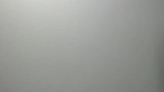 sussy leon online show from February 27, 2025, 12:34 pm