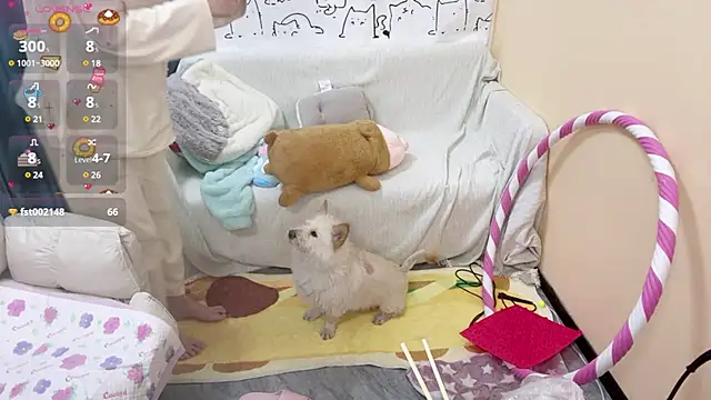 Supassra Sp online show from January 25, 2025, 2:03 pm