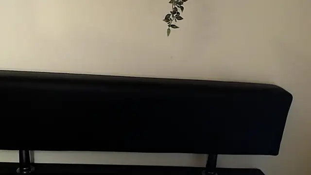 Snapshot of LaimaV_ chatting on April 10, 2026, 4:47 pm LaimaV online show from April 10, 2026, 4:47 pm