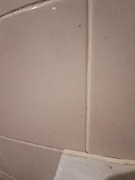 mertbey07 online show from December 25, 2024, 7:45 pm